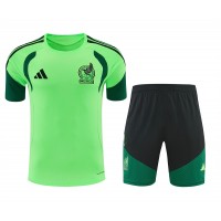Mexico Adult Green Training Football Kit 2026