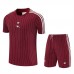 Arsenal Adult Red Terrace Icons Football Kit 2025-26