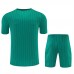 Liverpool FC Adult Terrace Icons Green Football Kit 2025-26
