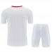 Manchester United Adult Terrace Icons White Training Football Kit 2025-26